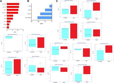 RNAseq-differentiated gene expression profile of people living with HTLV-1 in the Brazilian Amazon region: a pilot study